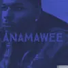 Deedouubleu - Ana Ma Wee (feat. Wilx & Teir) - Single